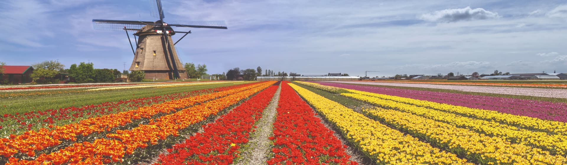 03 Days - Essence of Holland & Belgium