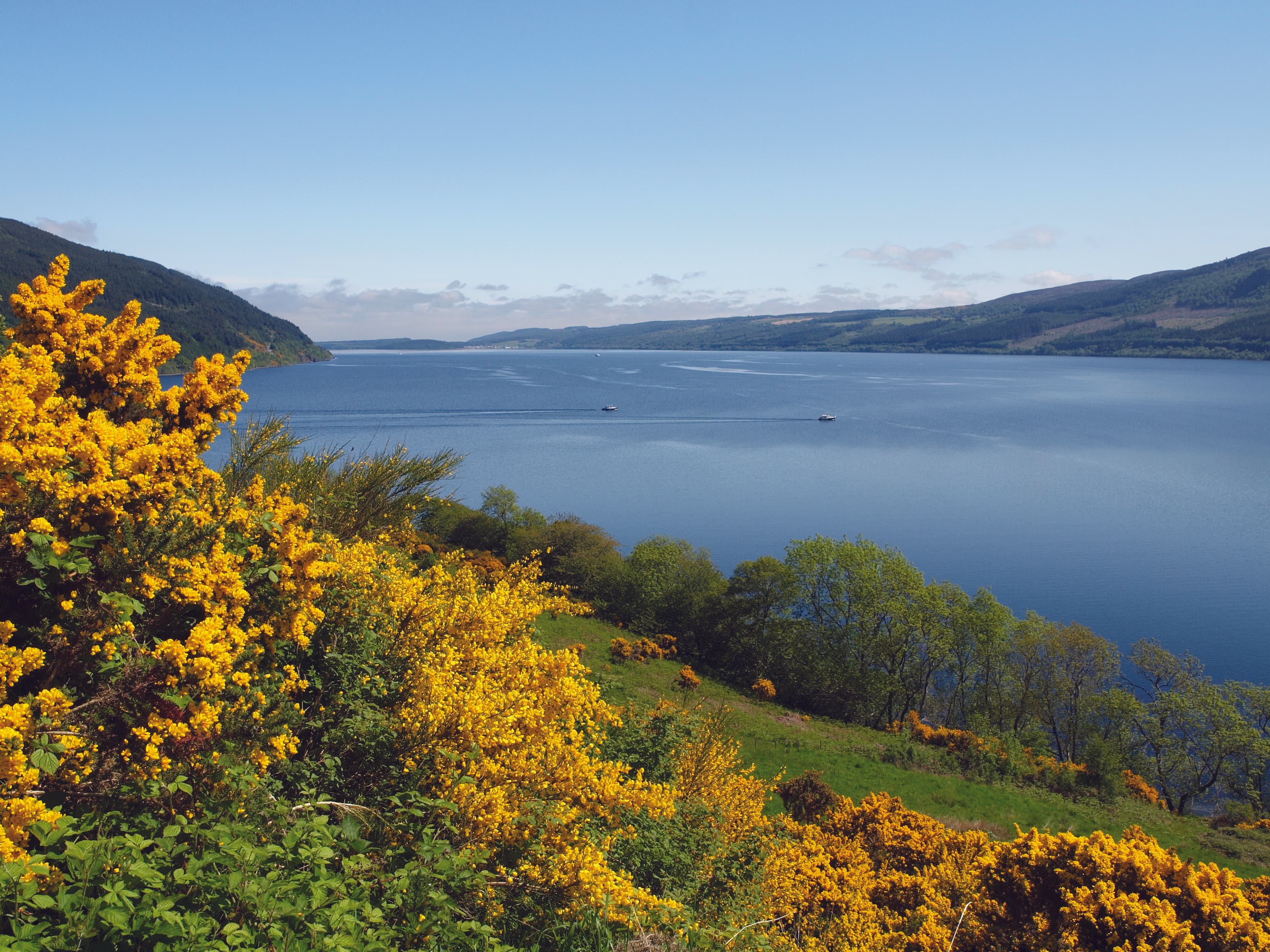 Scotland